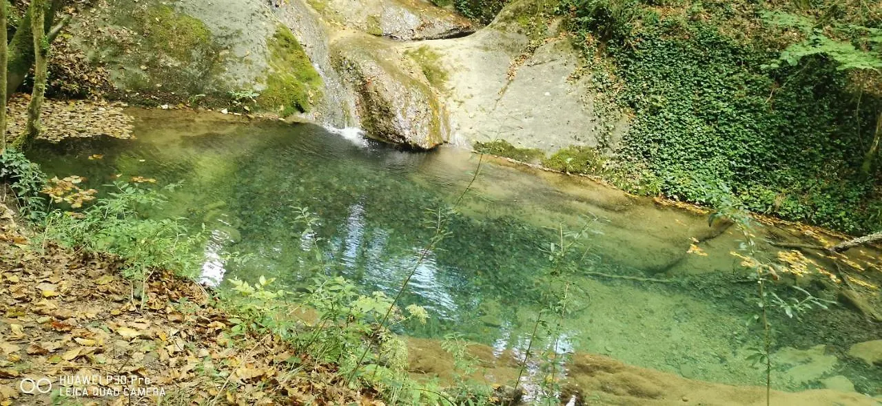 Allotjaments Rurals Can Punti Vallfogona de Ripolles Κατάλυμα σε φάρμα