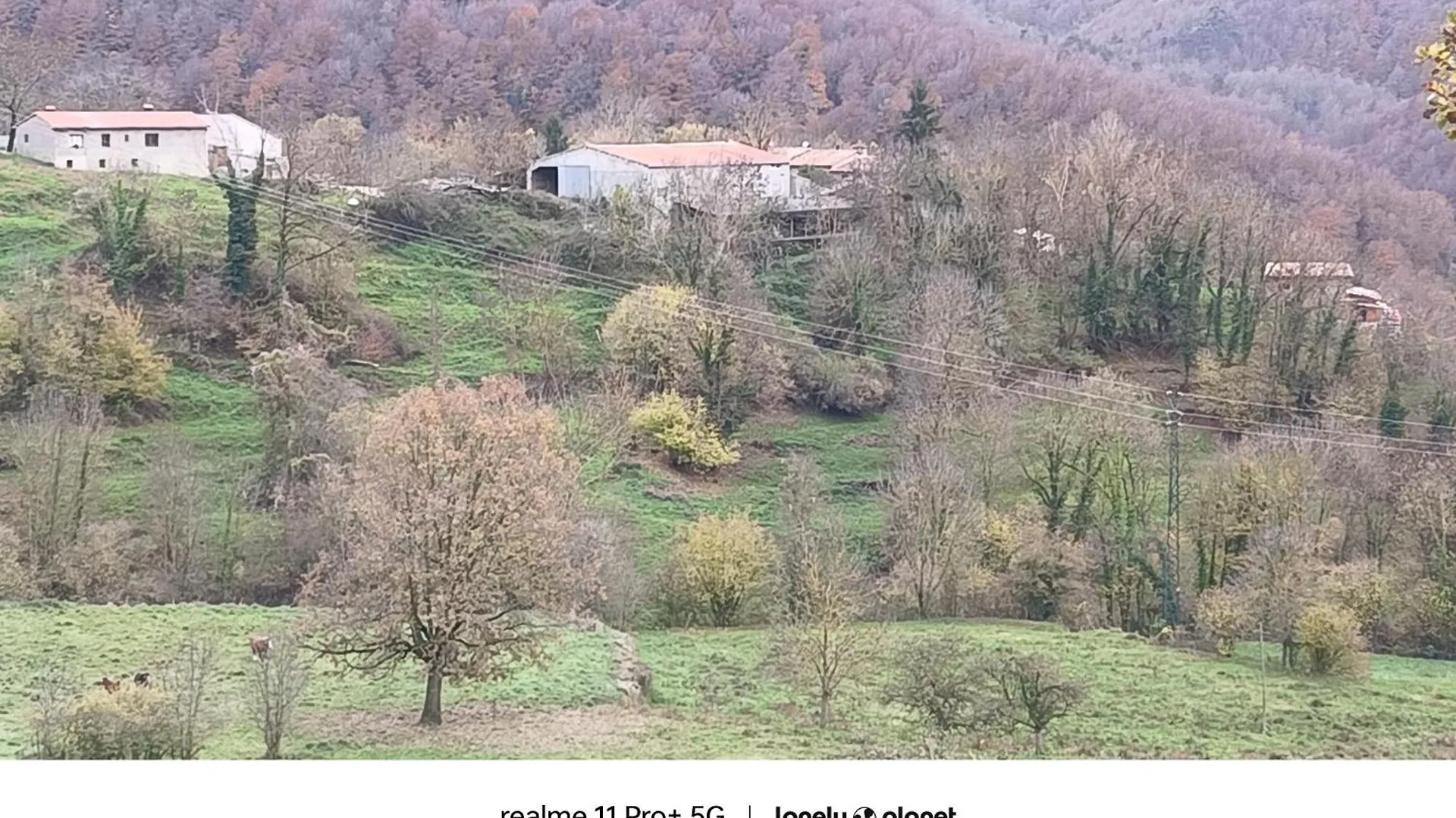 Allotjaments Rurals Can Punti Vallfogona de Ripolles Κατάλυμα σε φάρμα
