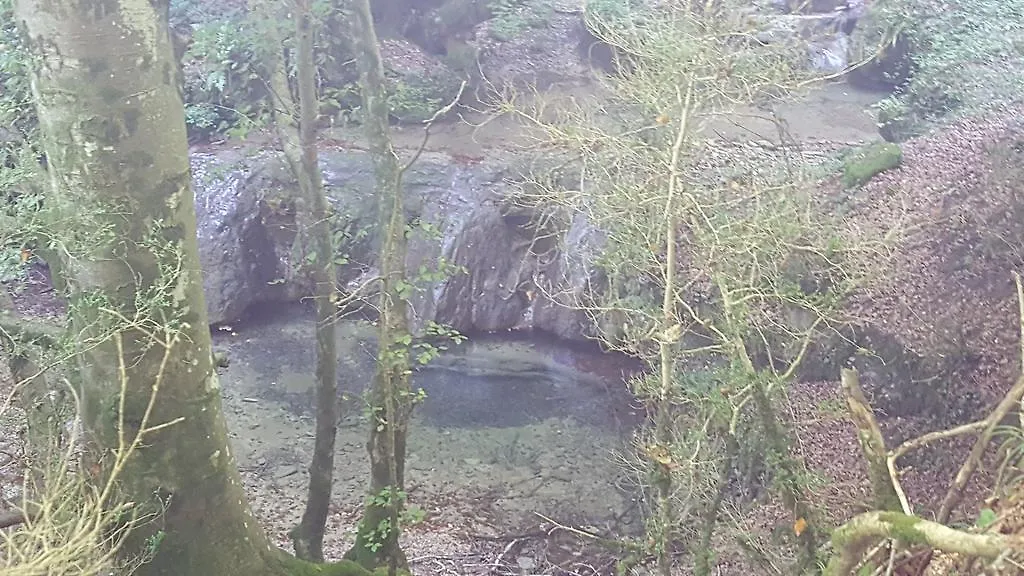 Allotjaments Rurals Can Punti Vallfogona de Ripolles Κατάλυμα σε φάρμα