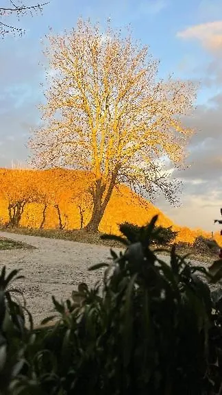 Allotjaments Rurals Can Punti Vallfogona de Ripollès Agroturismo
