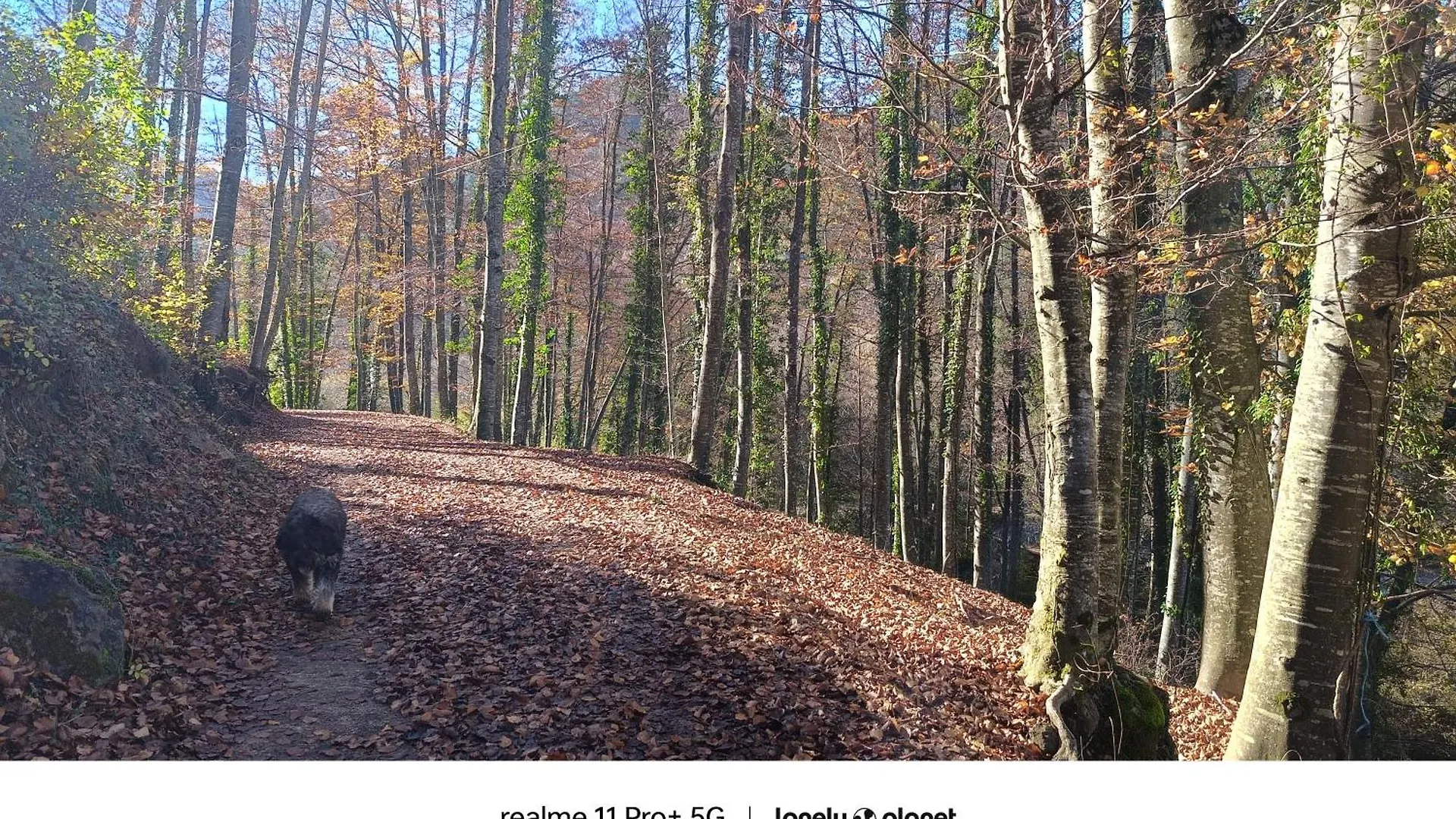 Allotjaments Rurals Can Punti Vallfogona de Ripolles Spain