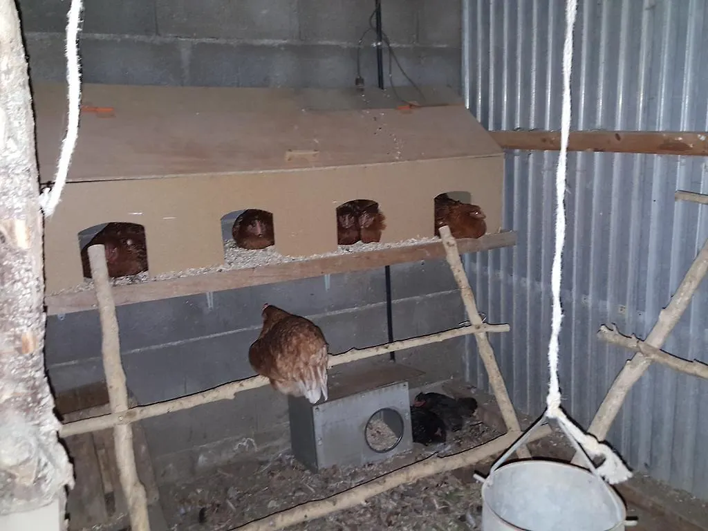 Allotjaments Rurals Can Punti Vallfogona de Ripolles Farm stay