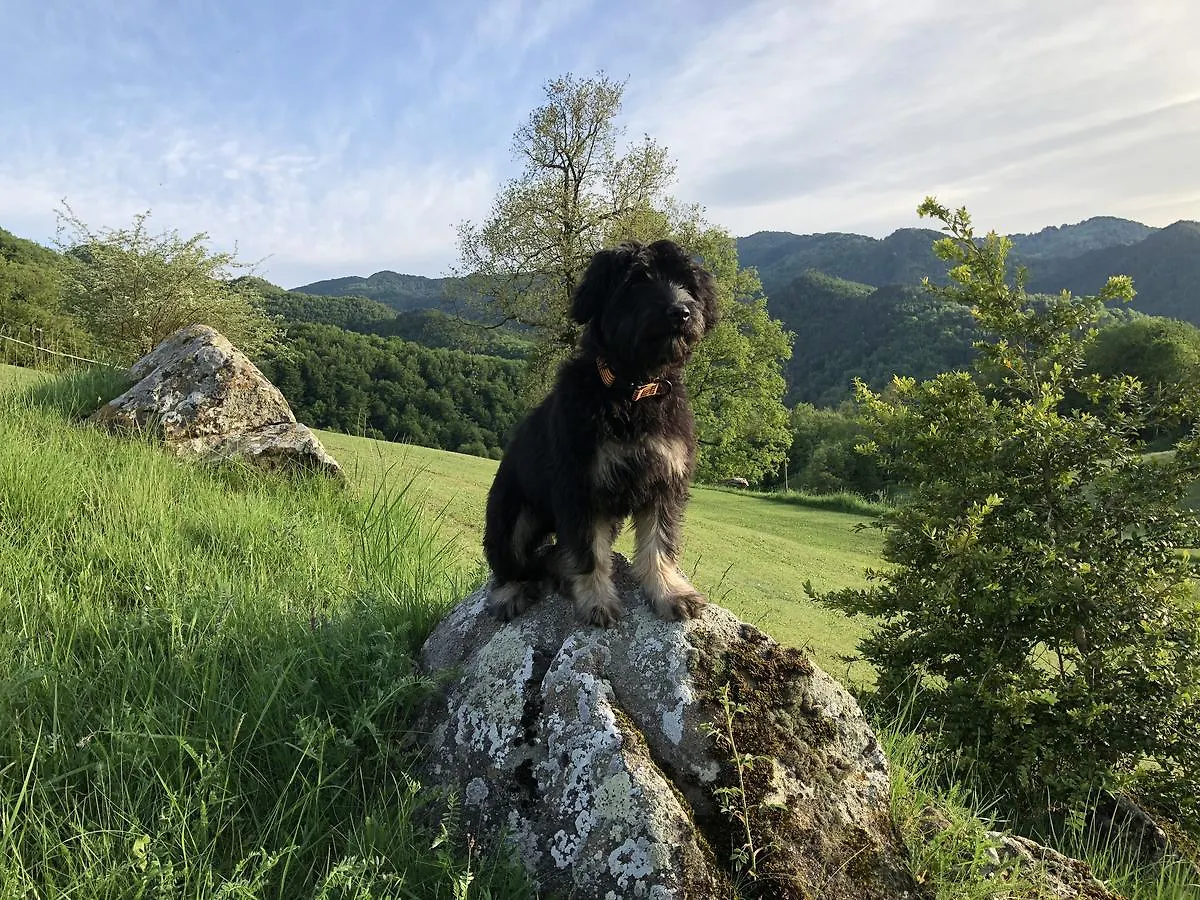 Allotjaments Rurals Can Punti Vallfogona de Ripollès Agroturismo