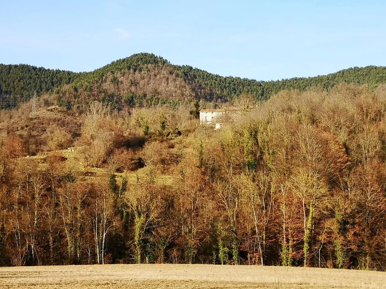 Allotjaments Rurals Can Punti Vallfogona de Ripollès España